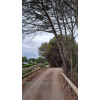 pin_chemin_3_fers